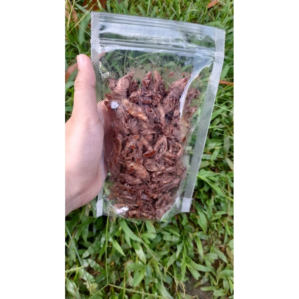 lumpia coklat lumer
