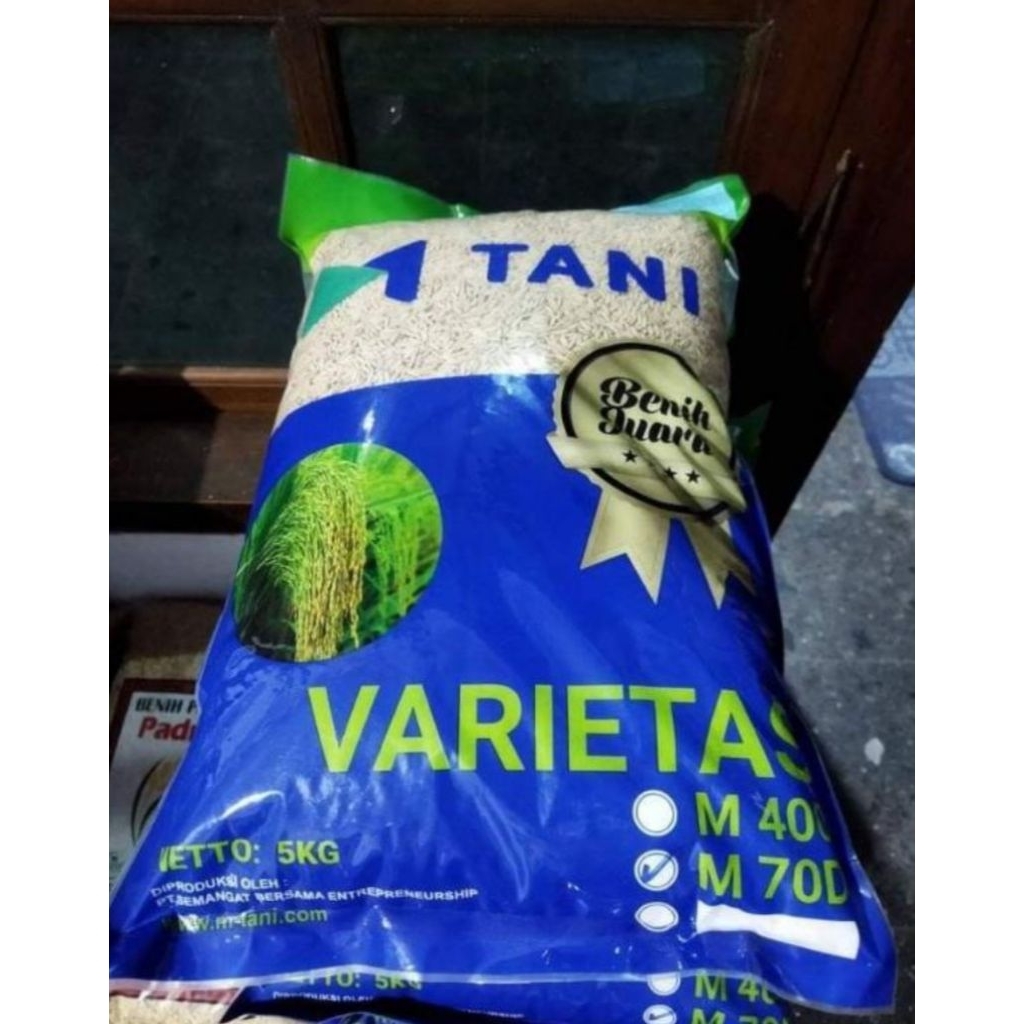 BENIH PADI M-70 D ORIGINAL M TANI
