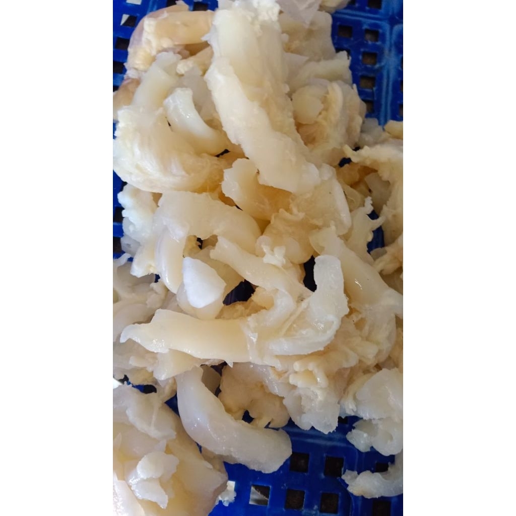 Urat kaki sapi rebus / Urat tendon kaki sapi sudah direbus