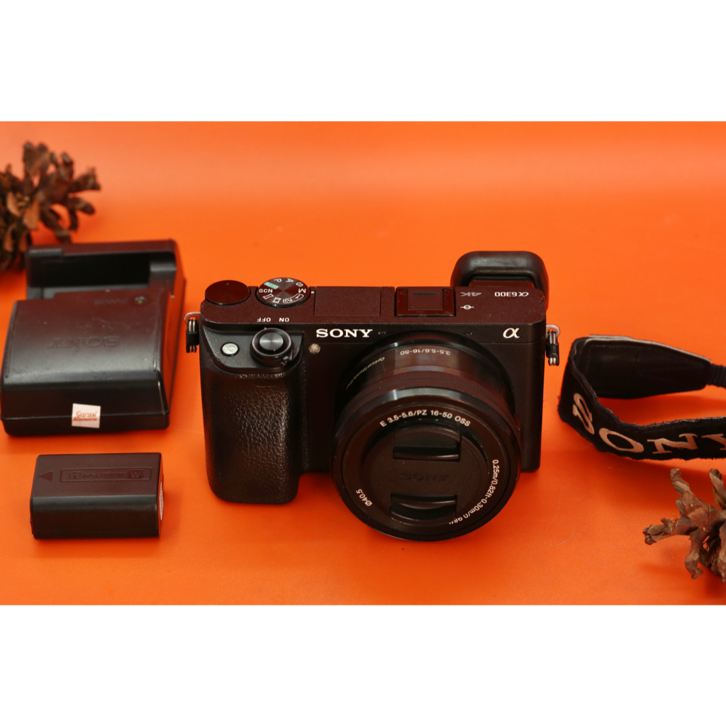 Sony A6300 Body Only Unit Only B866