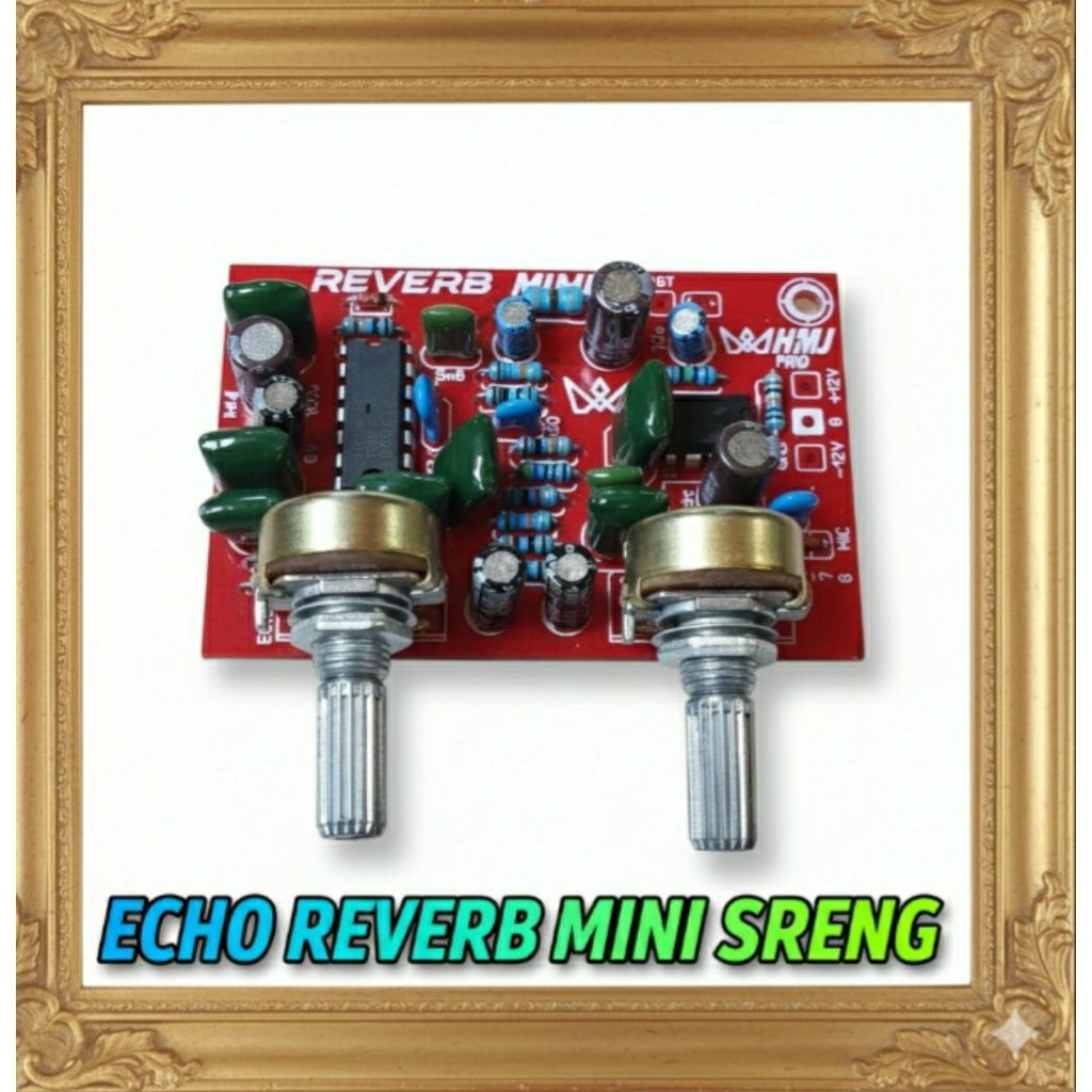 Echo Reverb mini 2pot