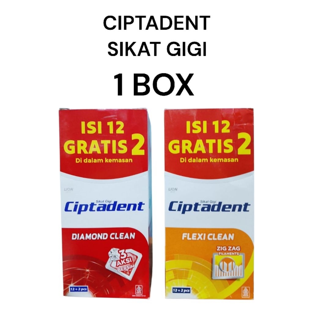 1 Box Ciptadent Sikat Gigi 12 pcs