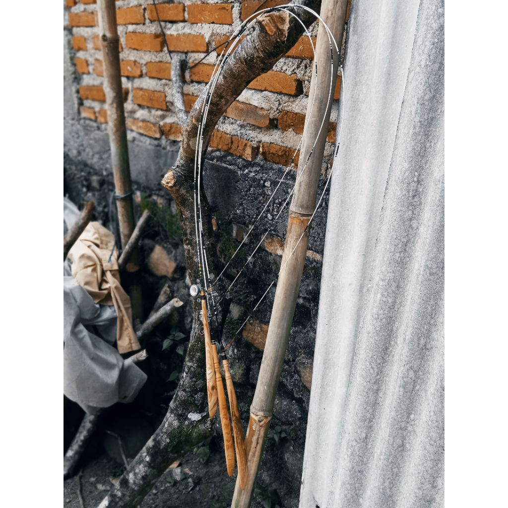 joran wader dan nilem