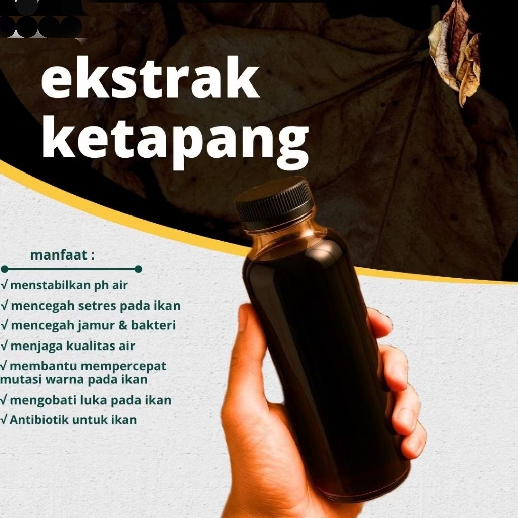 extra ketapang super pekat 500ml