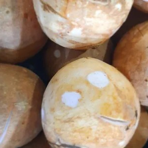 Kelapa Parut Tua Besar