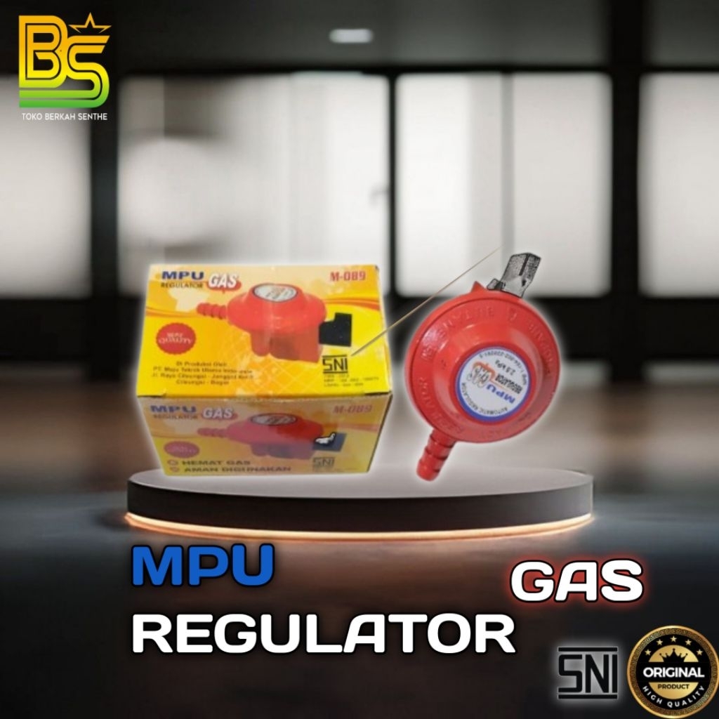 REGULATOR GAS/MPU REGULATOR GASS