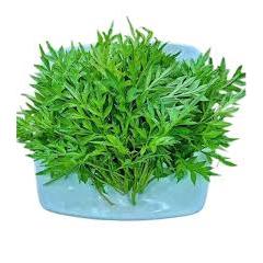 Daun Kenikir Segar 250 Gram Fresh - Sayur Kenikir Segar Super Premium