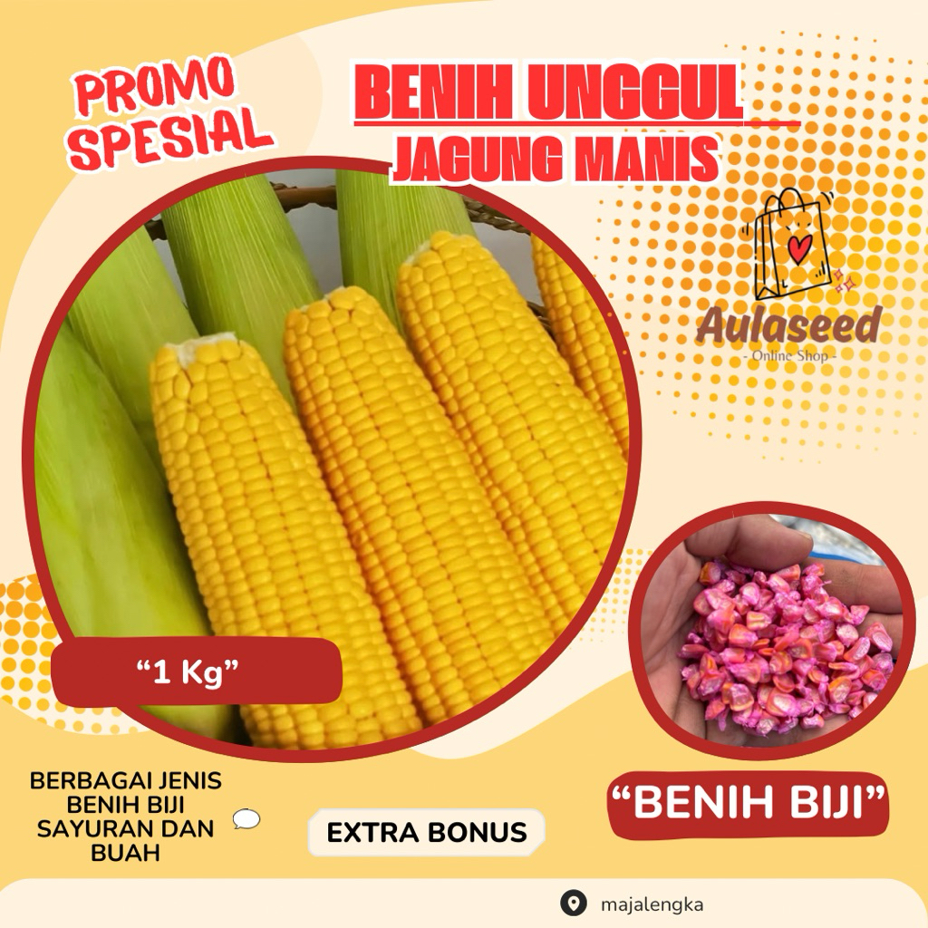 1 Kg> Biji Benih Jagung Manis > Bibit Jagung Manis Unggul> Bonus Benih