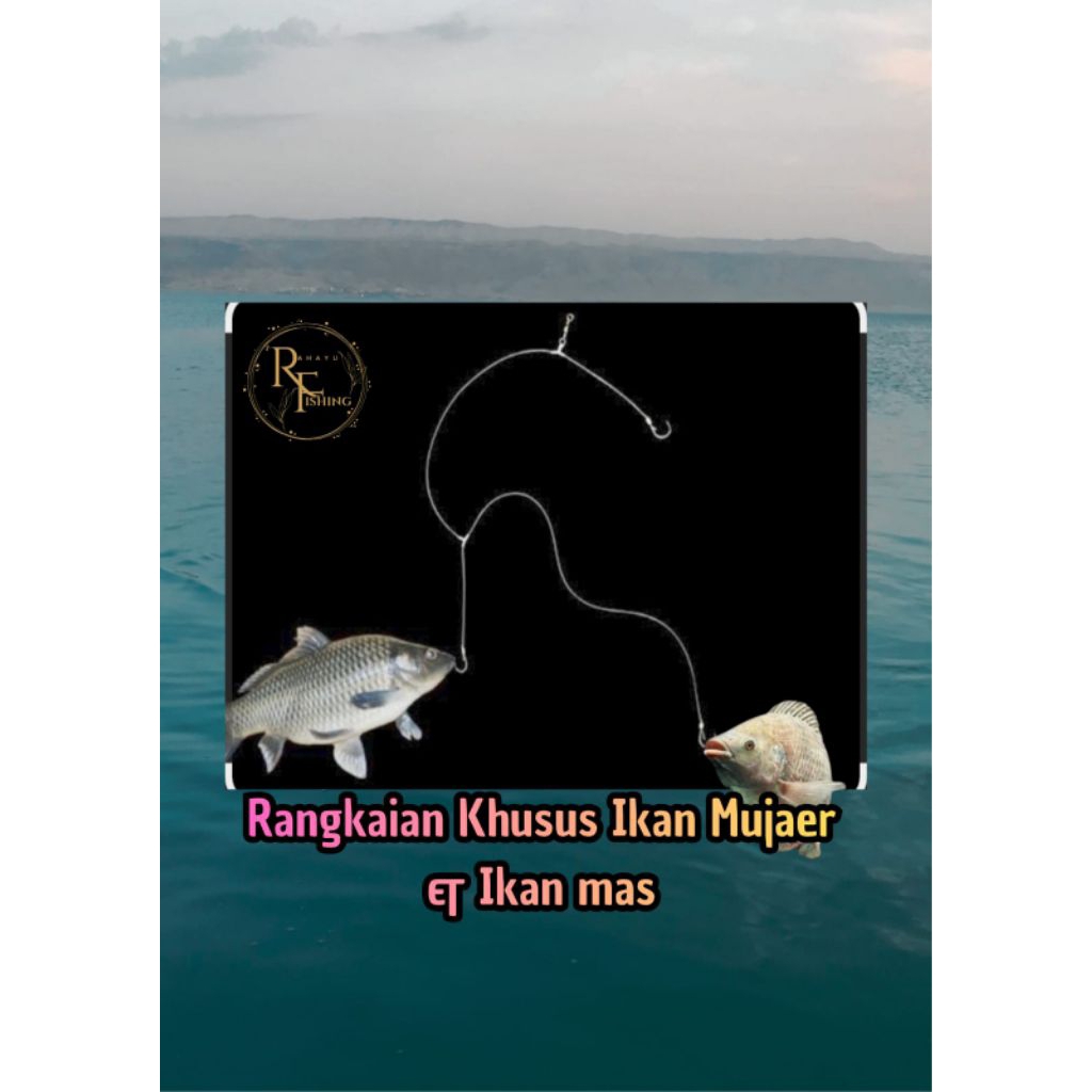 Rahayu fishing Rangkaian kail 3 ikan mas & ikan mujaer no.8  rakitan kail alat pancing umpan pancing