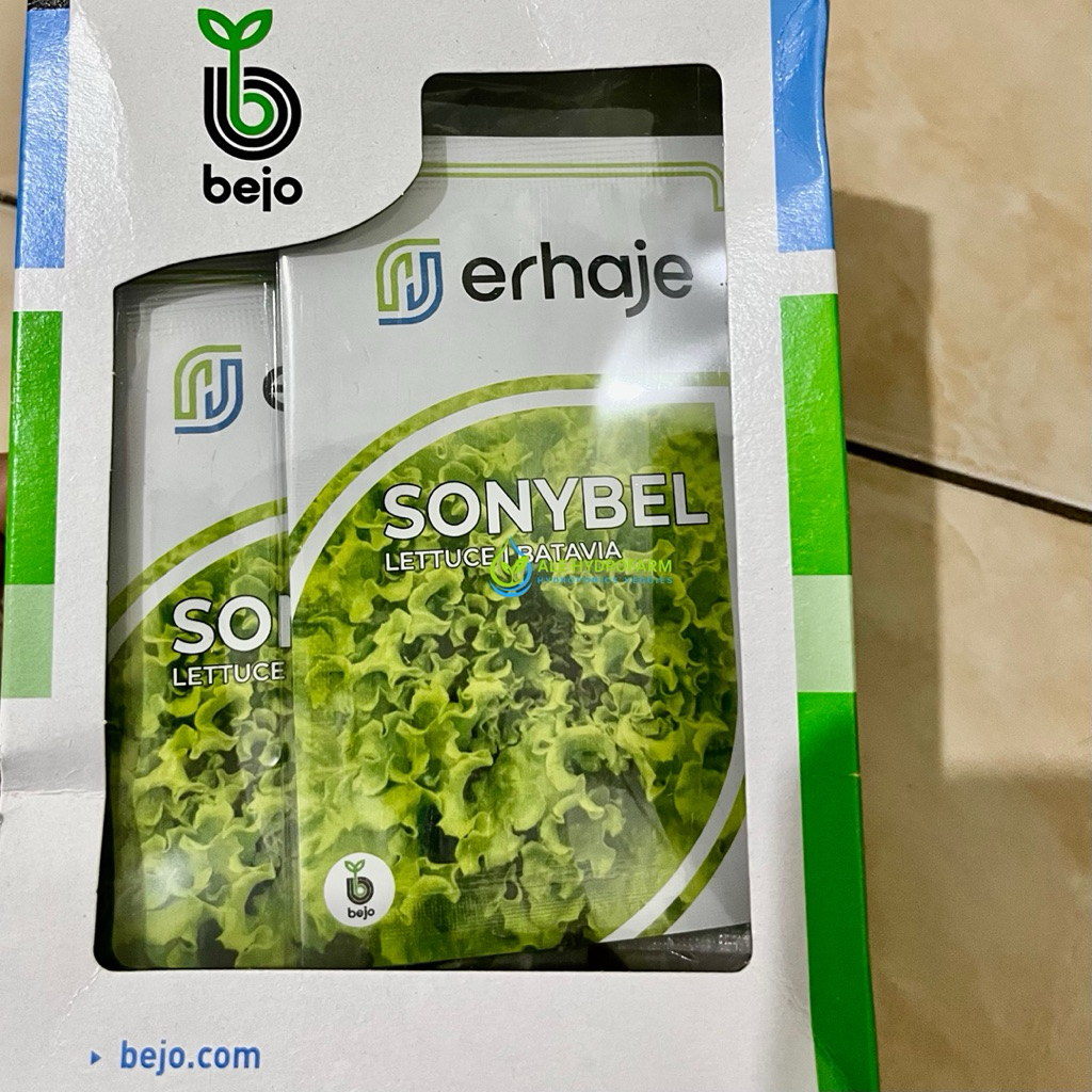 SONYBEL Naked (5gr) - Benih Selada Batavia – Bejo Seeds / Erhaje (pengganti benih MYRTEL)