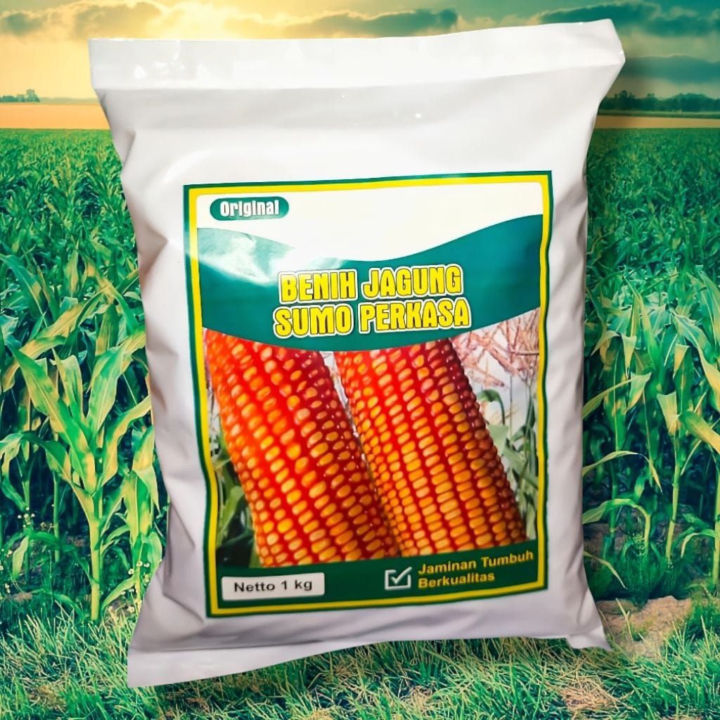 BENIH JAGUNG SUMO PERKASA SUPER 1 KG
