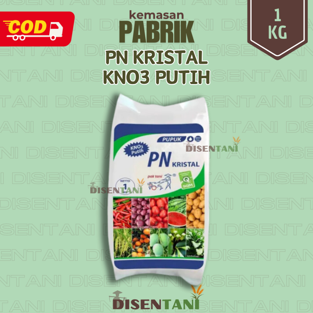 KNO Putih Kristal 1Kg – Pupuk Pembuahan Pelebat dan Pemanis buah Kalium Nitrat Murni untuk Pertumbuh