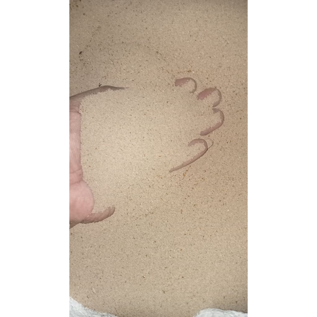 kotoran ulat hongkong / tai ulat hongkong / pakan ikan 1 kg