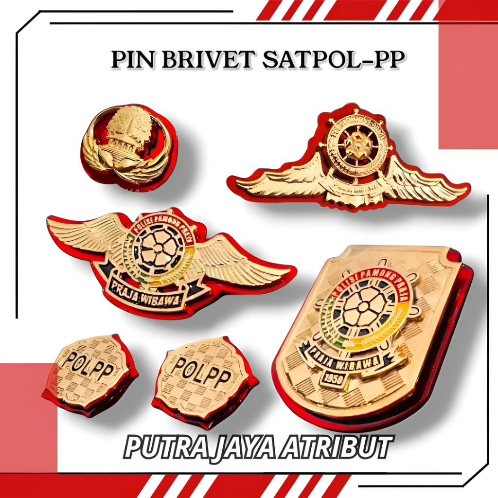 PIN BRIVET POL PP | KEWENANGAN POL PP | WING POL PP | WING KEMAHIRAN POL PP | MONOGRAM POL PP | PIN 