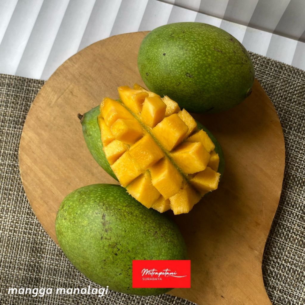 Mangga manalagi, mangga madu, mangga segar