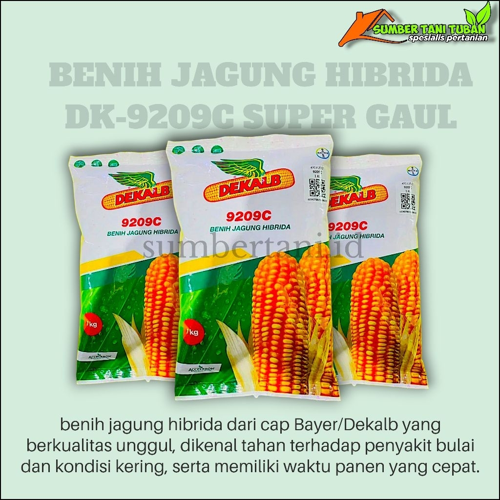 Benih jagung hibrida DK-9209C SUPER GAUL kemasan 1.kg