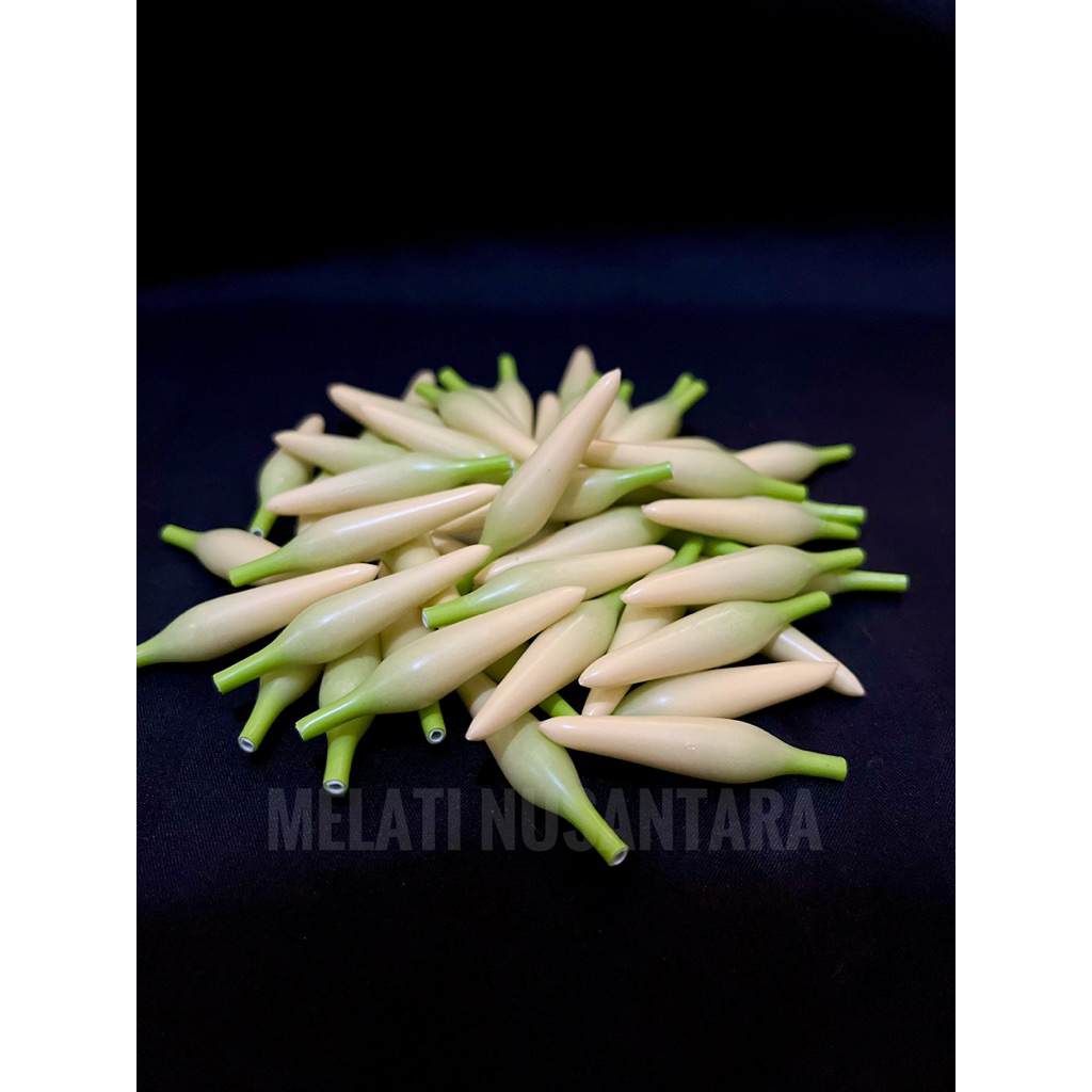 Kembang Kantil 10 pcs READY STOK Kantil Artifisial palsu mirip Asli Cempaka( 1 pack isi 10 pcs)