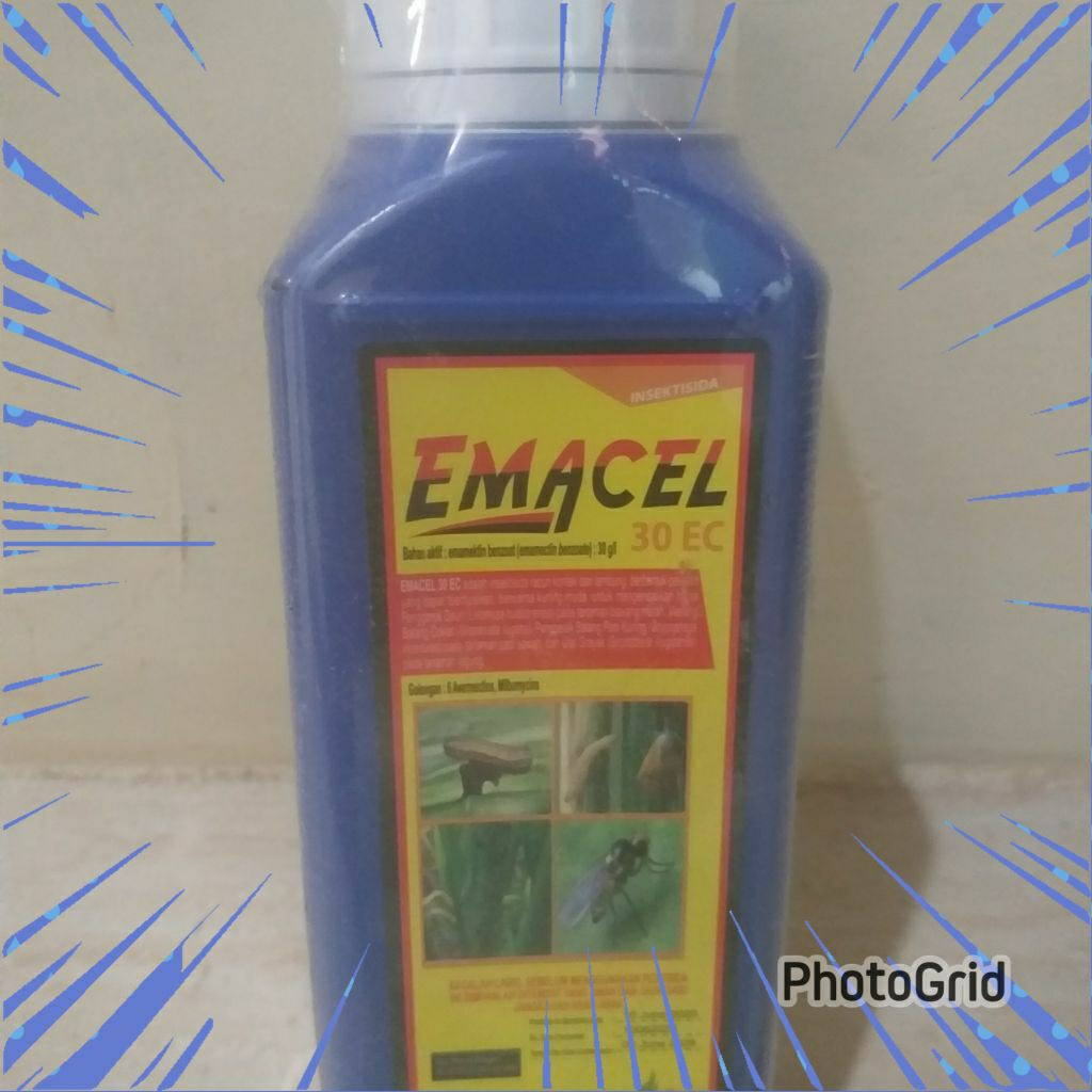 Emacel