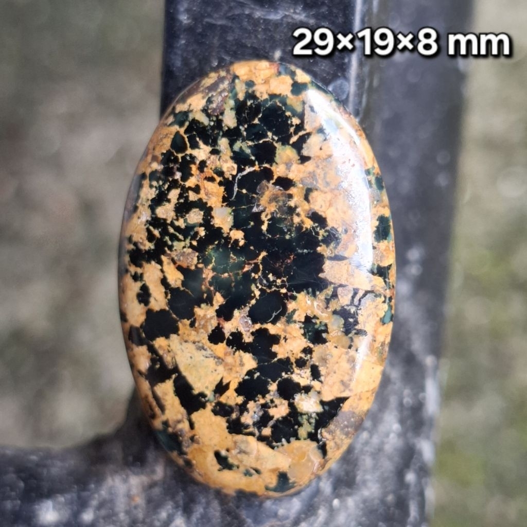 Natural Pirus Persia Hitam Serat Emas