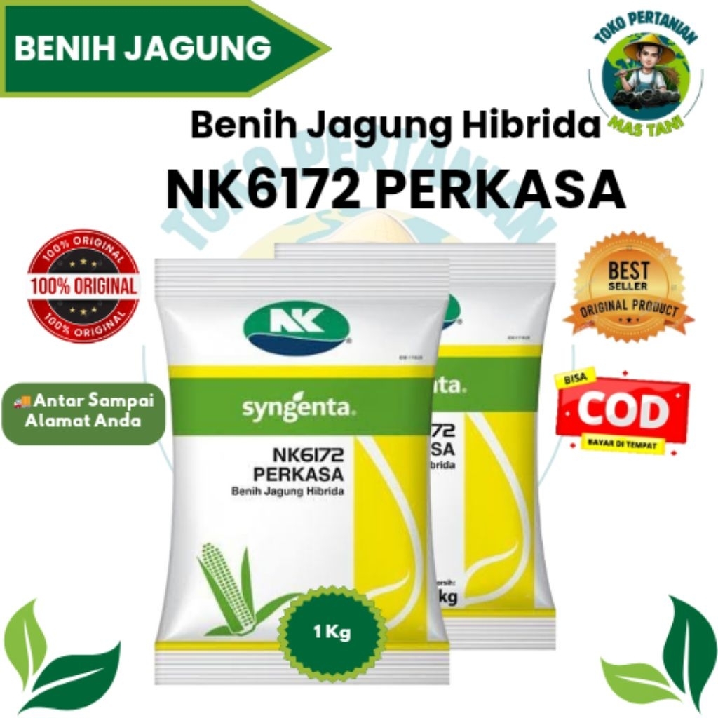 1 Kg / Benih Jagung NK PERKASA 1 Kg/Bibit Jagung NK Perkasa 1 kg/Winih Jagung NK Perkasa/Benih Jagon