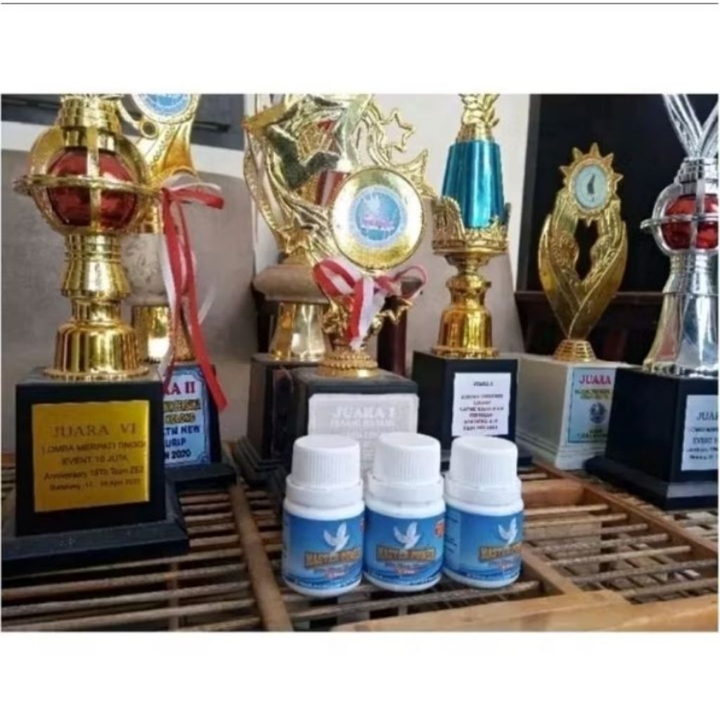 JAMU MERPATI MASTER POWER  JAMU JUARA 100BTR