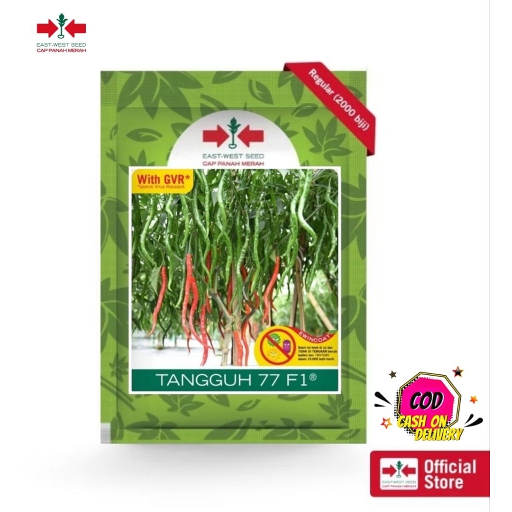 Benih Cabai Merah Keriting Tahan Virus TANGGUH 77 2000 Butir - Bibit Cabe Merah Keriting Tahan Virus