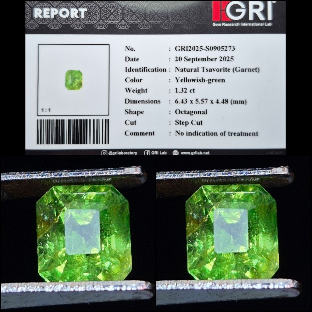 Natural Tsavorite Vivid Green Garnet Hot item NTE Memo GRI Lab