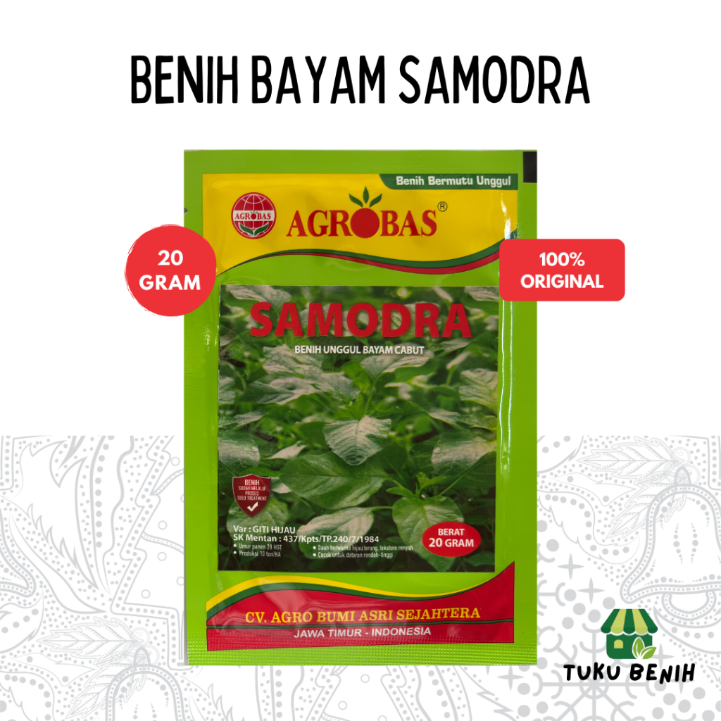 Benih Bayam Samodra 20 Gram - Agrobas