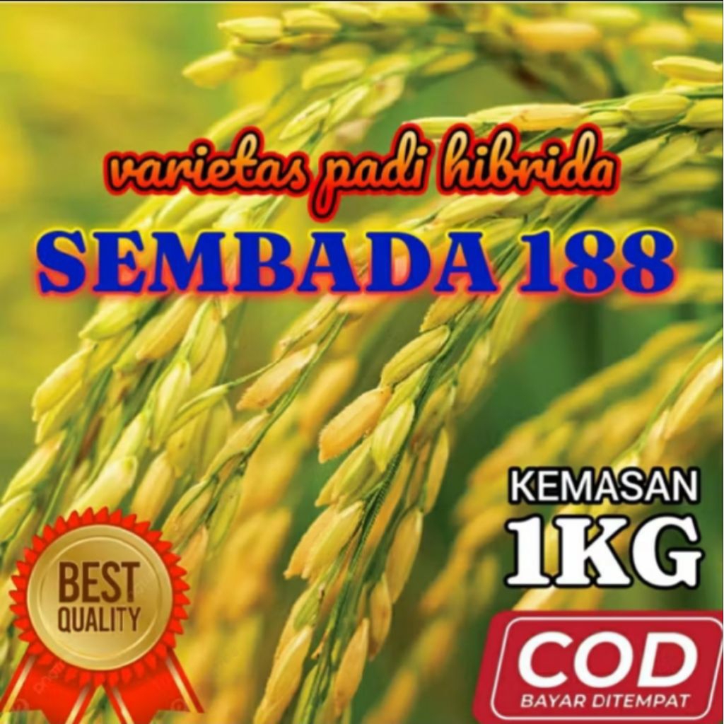 Benih Padi HIBRIDA SEMBADA 188 1 Kg