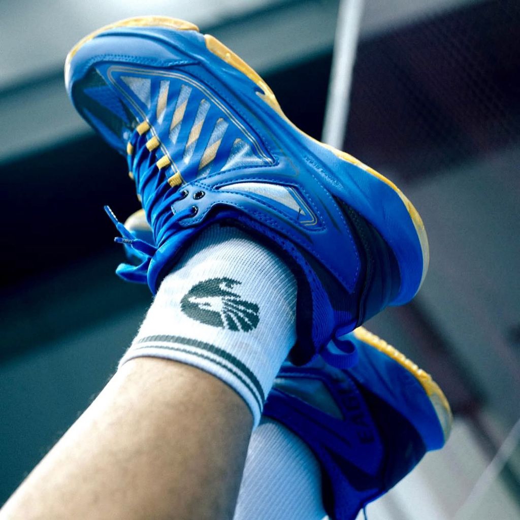 Sepatu Batmintin Eagle PNR Prime