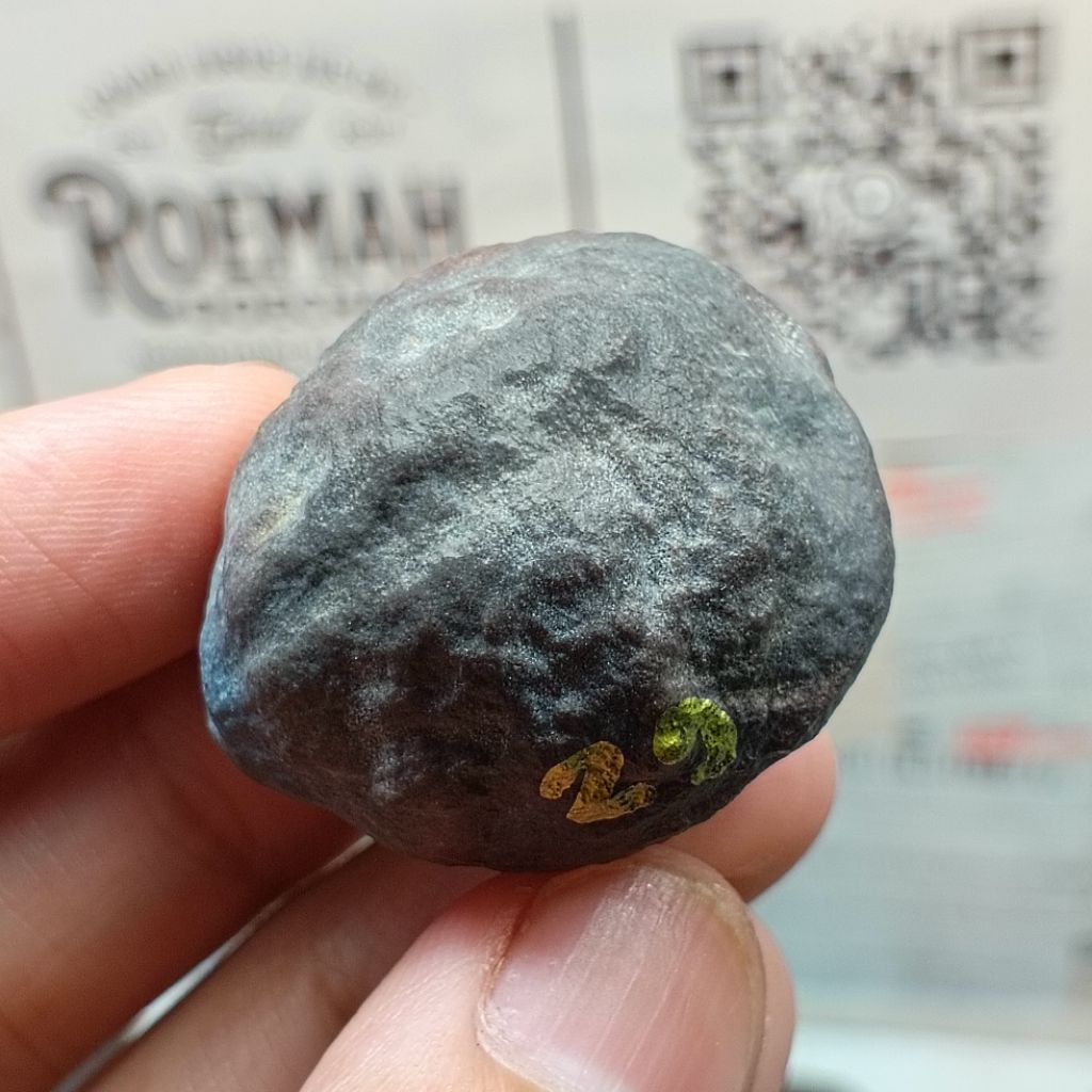 Muncang Adu Pait JR kode 29