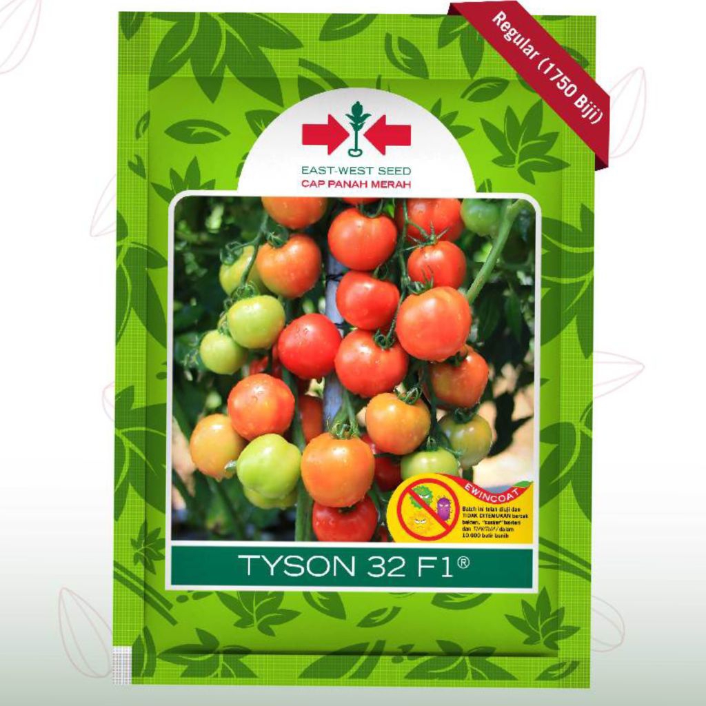 Benih Tomat TYSON 32 F1 dari Cap Panah Merah