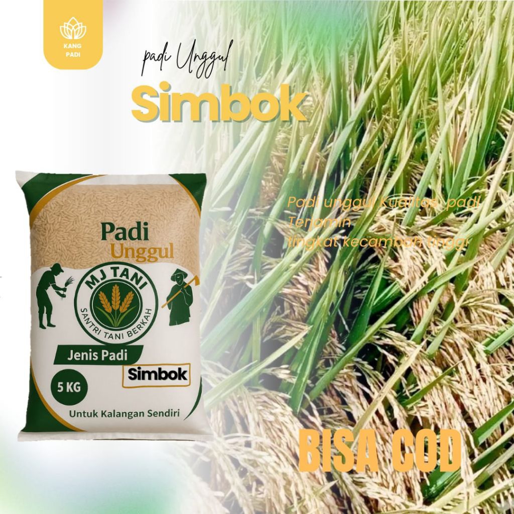 bibit padi unggul SIMBOK 5KG