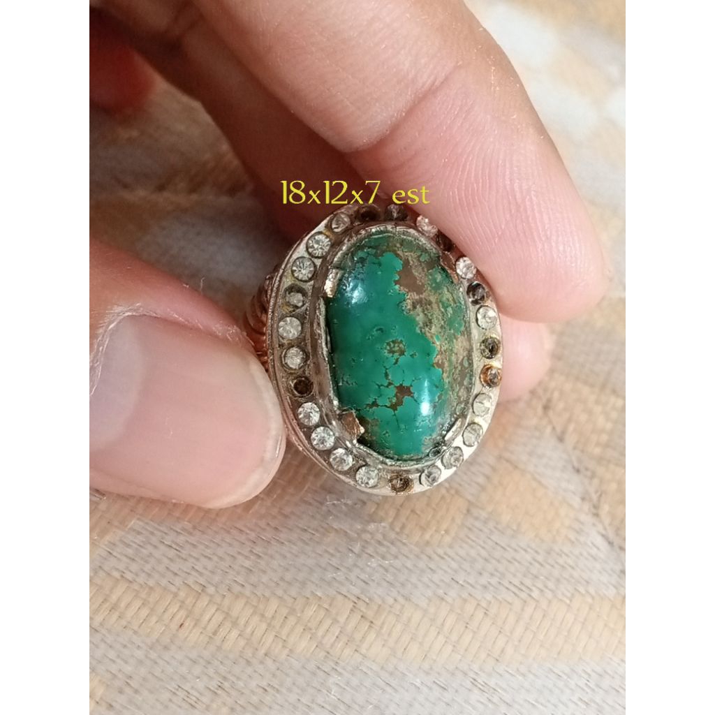 Natural Pirus Persia hijau