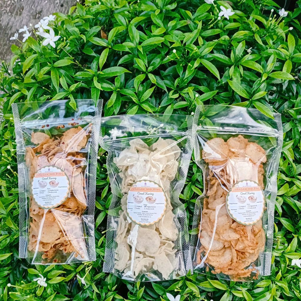 MOLRING (Cimol Kering)