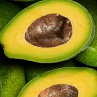 Alpukat mentega 1 kg