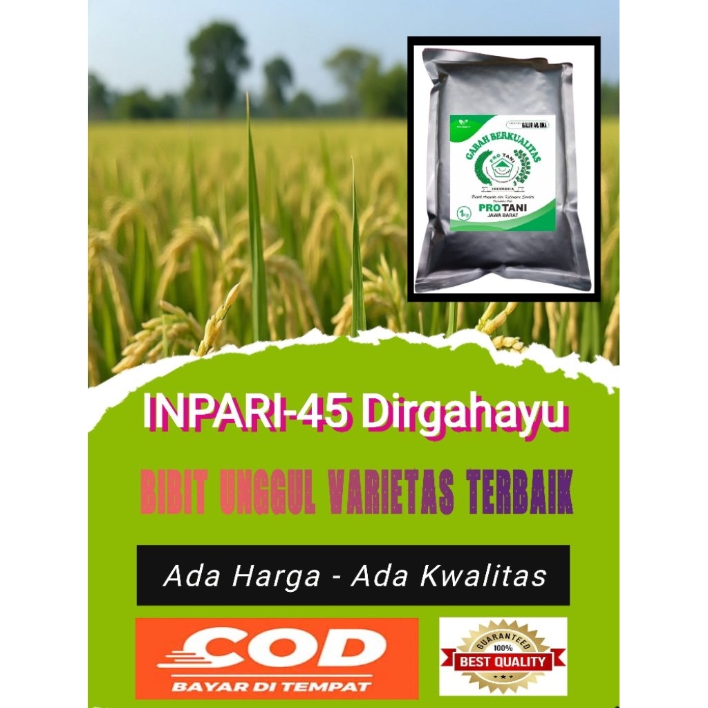 INPARI-45 DIRGAHAYU Bibit Padi Unggul VARIETAS terbaik 100%Original Kemasan 1Kg