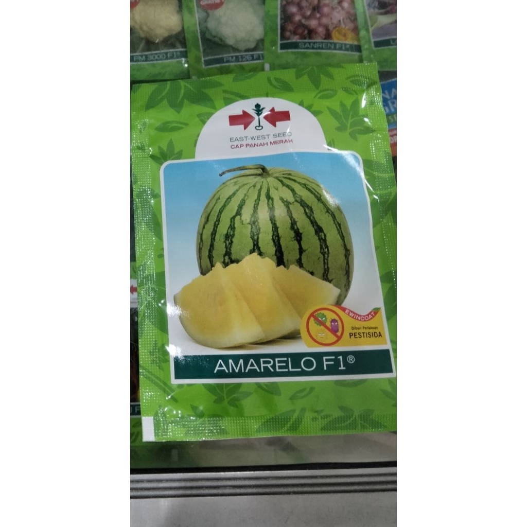 Benih Semangka Kuning Amarelo F1