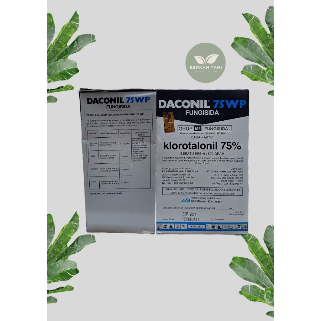 Daconil 500 gram klorotalonil 75%