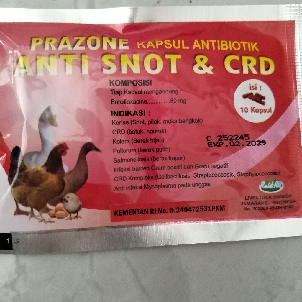 Prazone Kapsul Antibiotik Anti Snot & CRD.