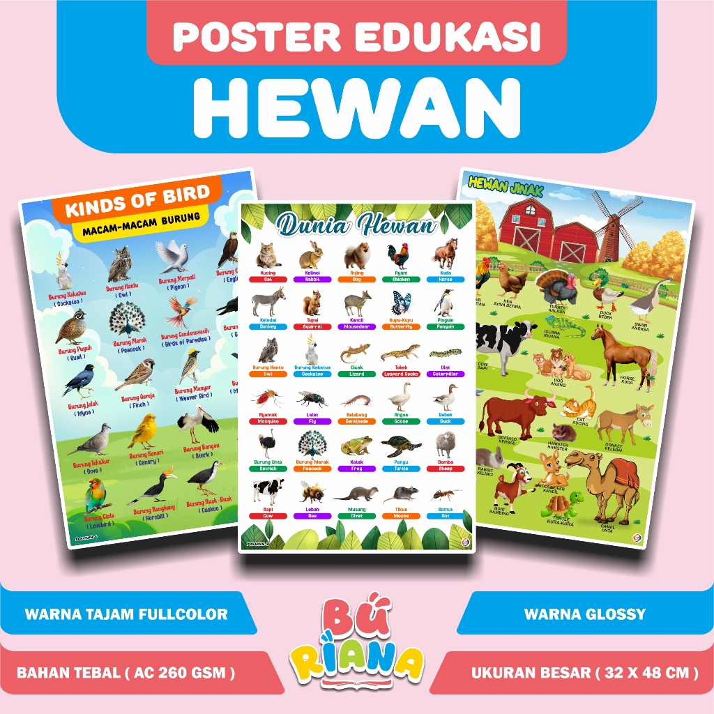 Poster Hewan / Poster Binatang / Poster Edukasi Anak