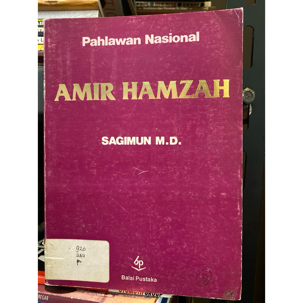 PAHLAWAN NASIONAL AMIR HAMZAH