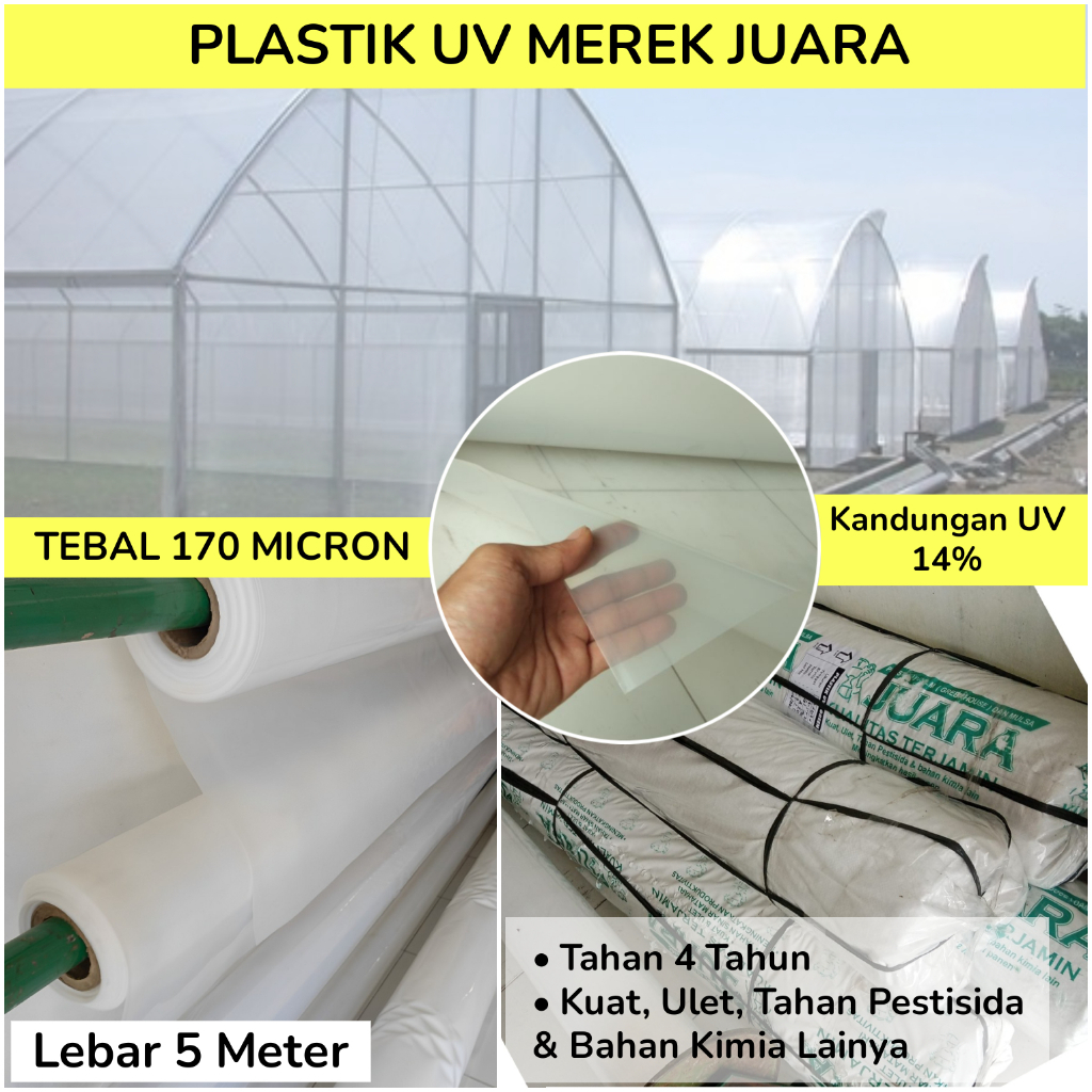 Plastik Uv Juara Lebar 5 Meter Plastik Ultra Violet Tebal 170 Micron Untuk Atap Hidroponik dan Kolam