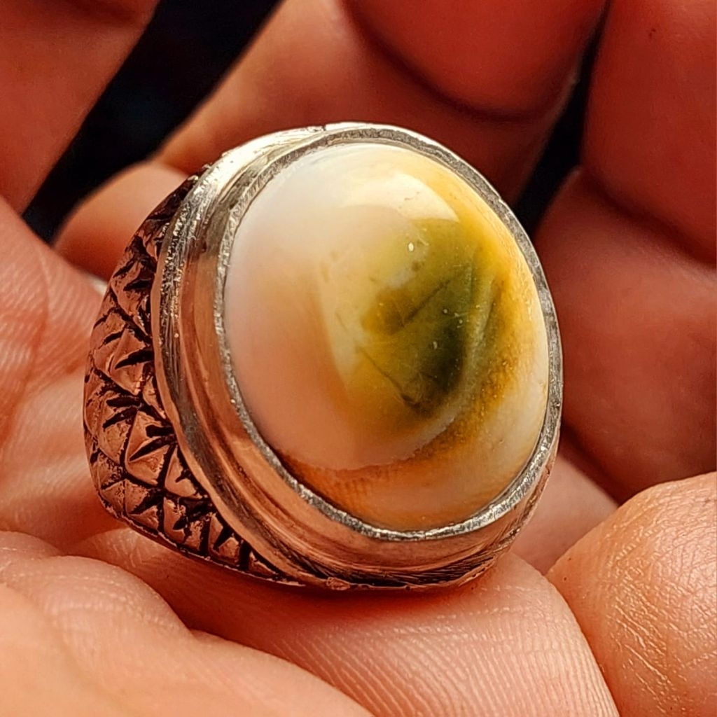 Cincin keong buntet laut asli keong tembus senter
