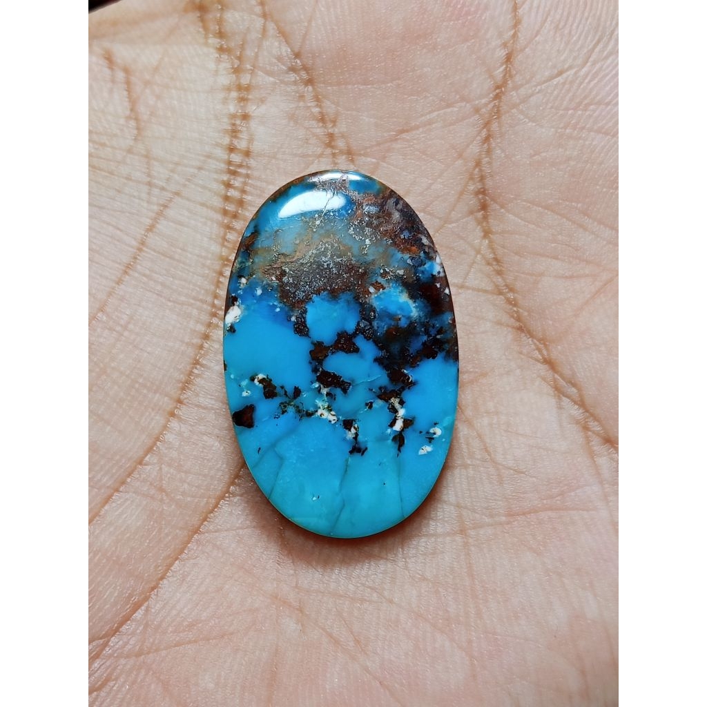 PIRUS PERSIA BIRU URAT MERAH