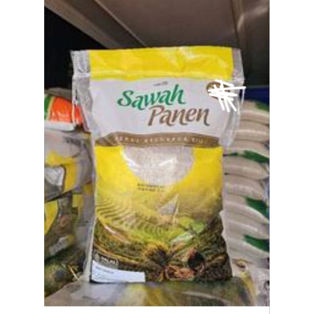 beras sawah panen dualima