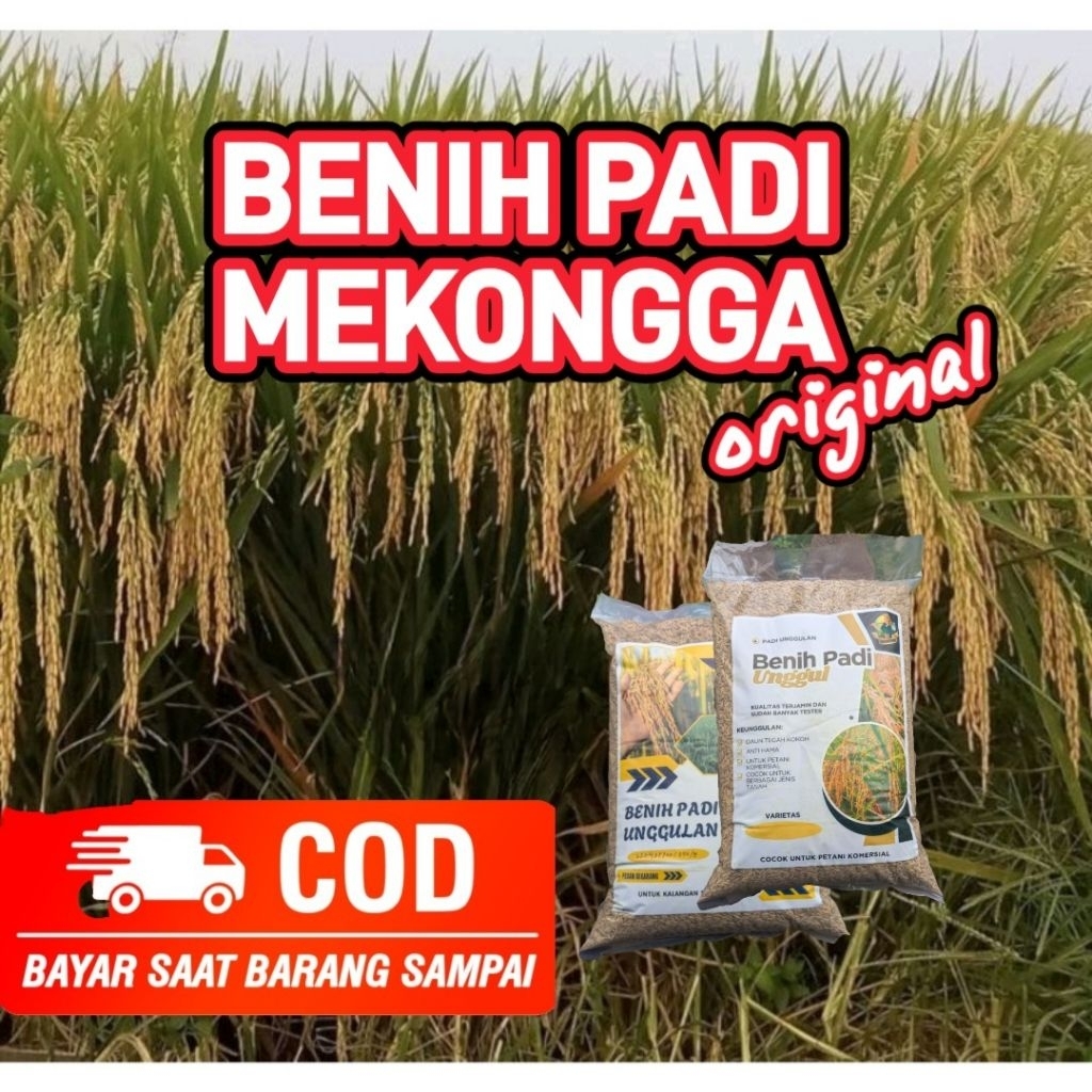 Benih Padi Mekongga 5kg Premium Padi Unggul Bibit Unggul