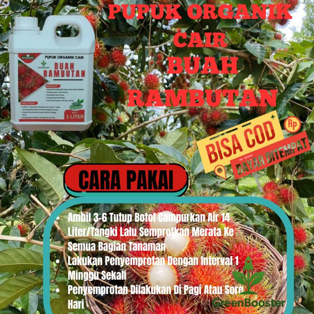 Pupuk Rambutan Cepat Berbuah / Pupuk Buah Rambutan / Pupuk Pohon Rambutan / Pupuk Organik Cair Tanam