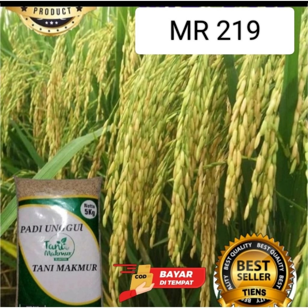 Benih padi MR 219 netto 5kg