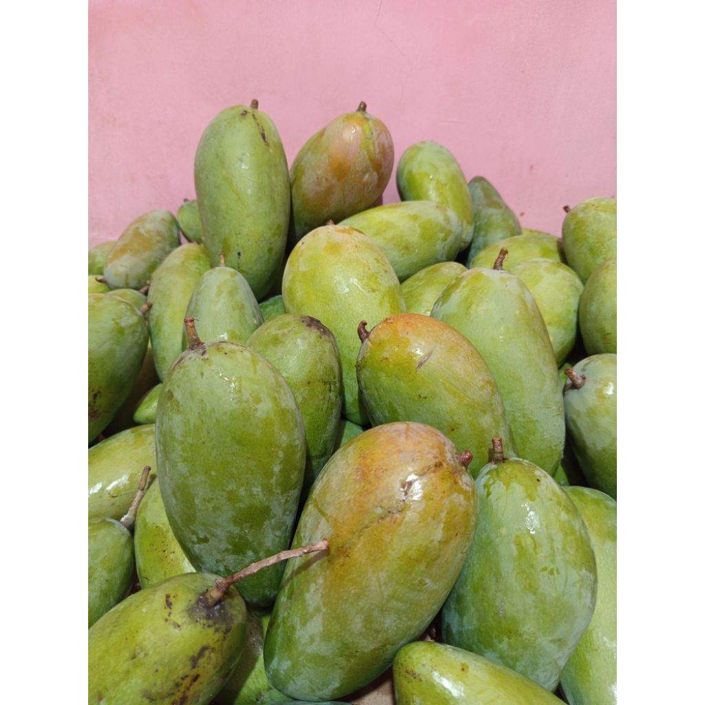 flashsale mangga kiojay | mangga kiojay kriuk | muda atau mengkel | mangga kiojay rujakan | mangga k